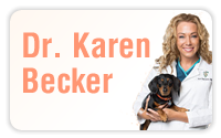 Dr. Karen Becker