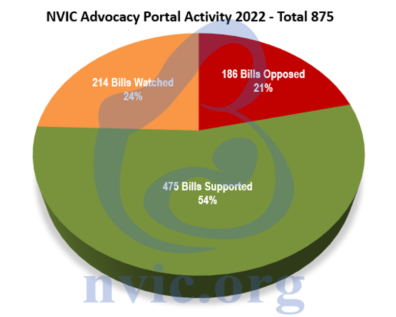 NVIC Portal Activity 2022